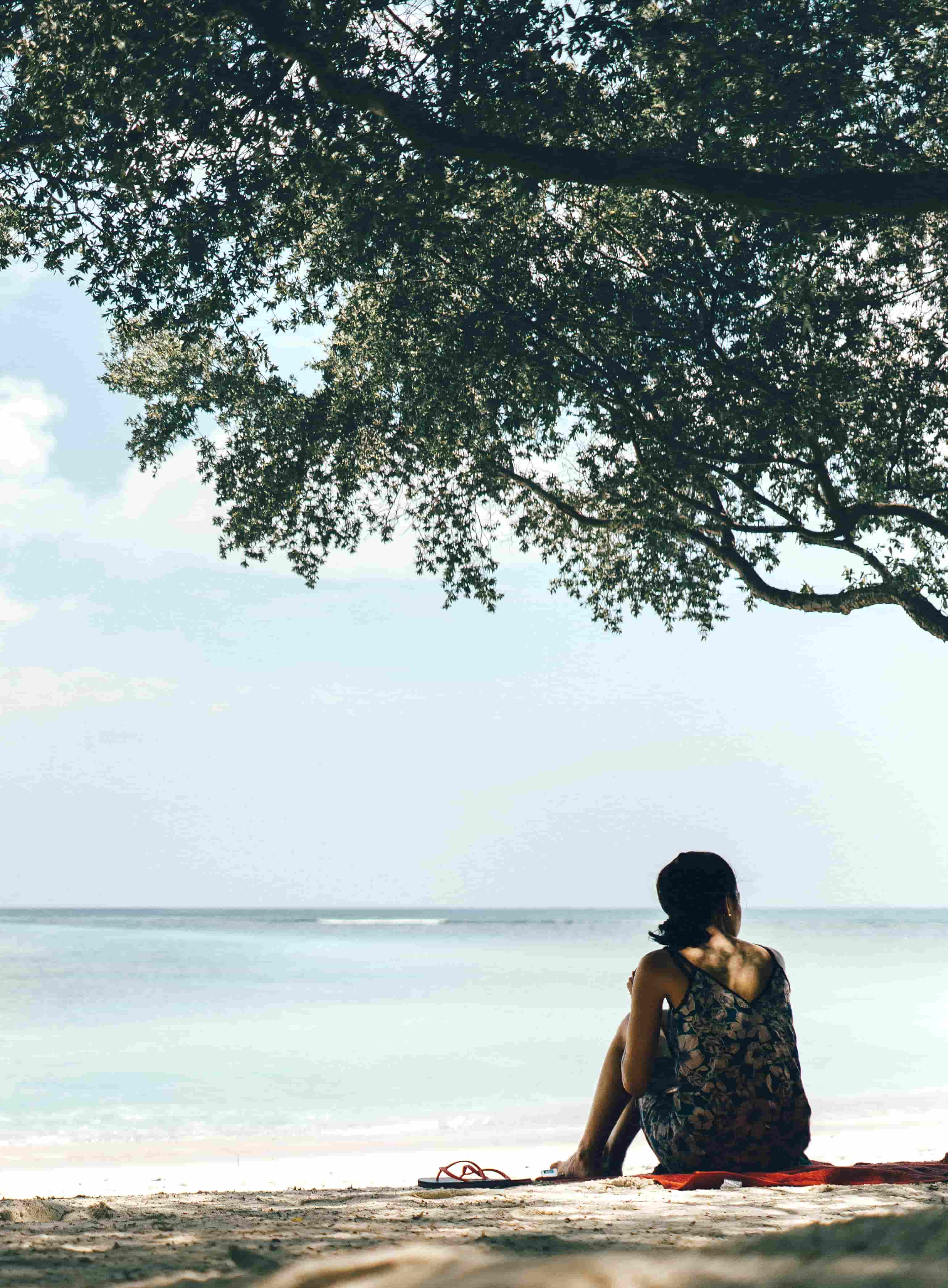 Woman seated under tree looking toward the ocean